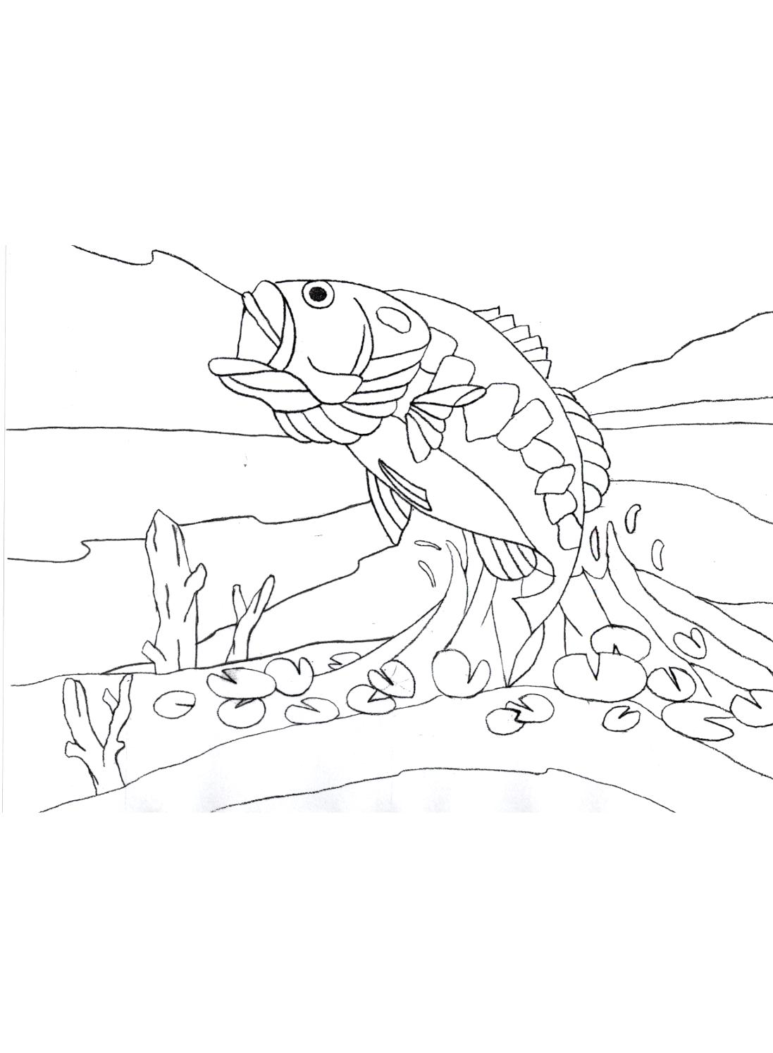 bass_concept_drawing.jpg
